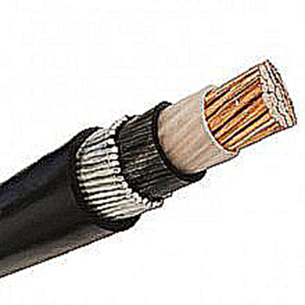 کابل ۵۰×۱